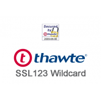 Thawte SSL123 Wildcard SSL Certificate